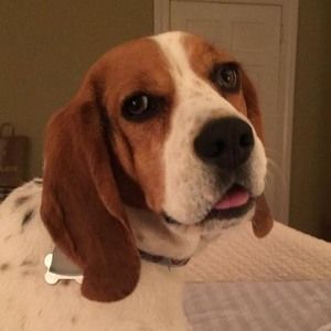 Meet your Posher, Fernanda